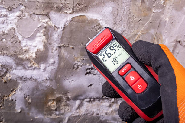 Best Mold Remediation  in Marietta Alderwood, WA