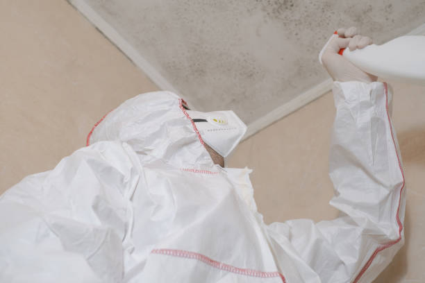 Best Toxic Mold Removal  in Marietta Alderwood, WA