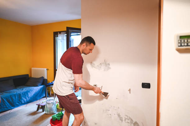 Attic Mold Removal in Marietta Alderwood, WA